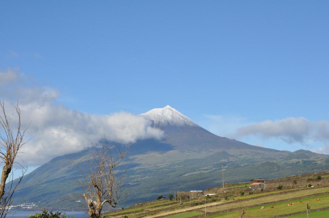 Casa Da Abrotea Villa Lajes do Pico Eksteriør bilde