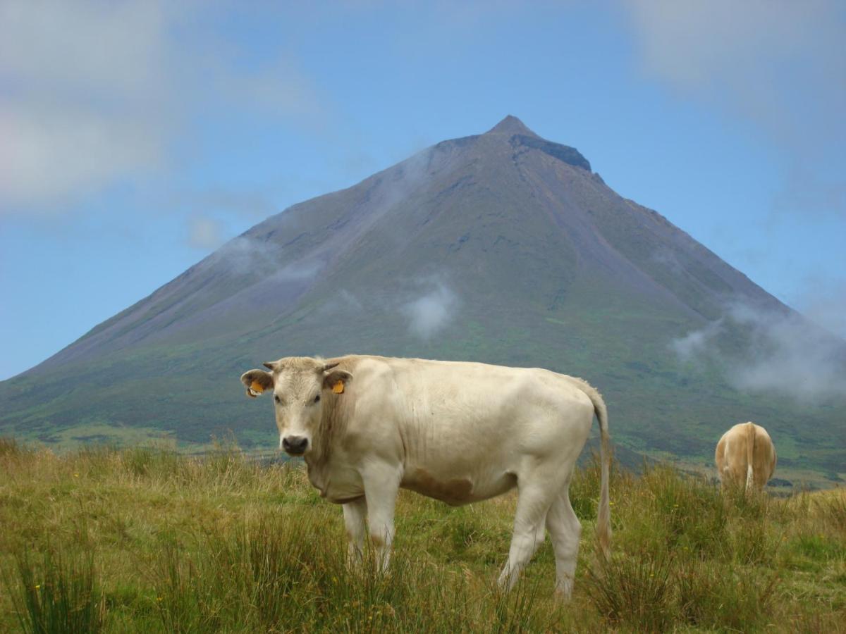Casa Da Abrotea Villa Lajes do Pico Eksteriør bilde