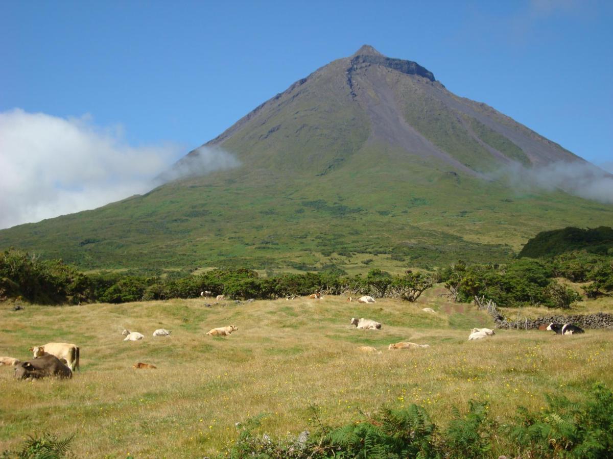 Casa Da Abrotea Villa Lajes do Pico Eksteriør bilde